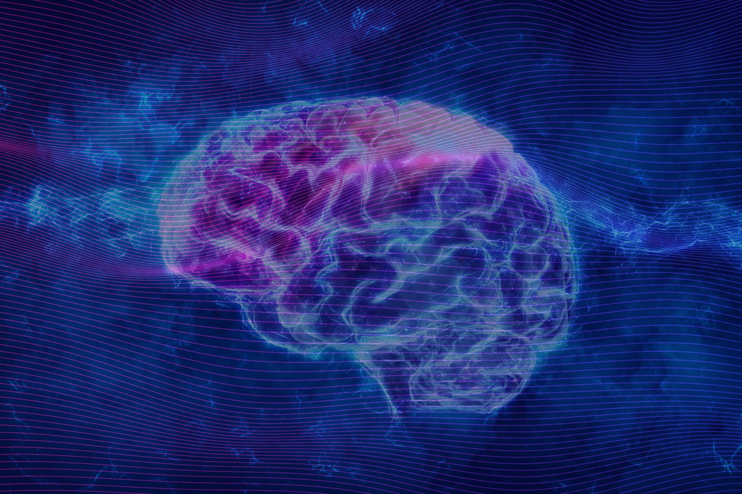 brain